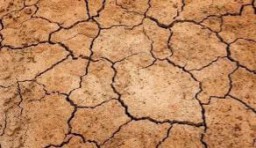 Prakiraan Pertengahan April Sebagian Wilayah Jateng Masuk Musim Kemarau