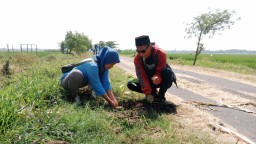 Mahasiswa KKN UIN Walisongo dan PR GP Ansor Sudipayung Tanam Bibit Buah di Area Pesawahan