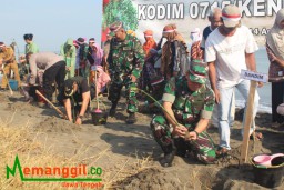 Keterangan: Dandim 0715/Kendal, Letkol Inf. Mishael Marthen Jenry Polii, saat menanam bibit mangrove, di PIK, Senin 14/08/2023. (Roni/Jateng Memanggil)