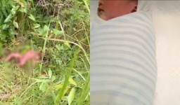 Penemuan seorang bayi laki-laki yang tergeletak di semak-semak hutan di pinggir Jalan Blora-Randublatung, Jumat (4/4/2025) pagi (Jateng Memanggil/Ist)