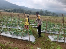 Keterangan: Bhabinkamtibmas Desa Tambahsari, Bripka Sunarso saat meninjau lahan milik warga di Dusun Krajan, Desa Tambahsari, Kecamatan Limbangan, Kabupaten Kendal, pada Minggu 13/04/2025. (Hms/Jateng Memanggil)