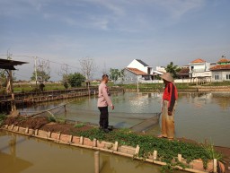 Keterangan: Salah seorang Anggota Polsek Kaliwungu, saat mendampingi warga yang mrmbudidayakan ikan Nila, di Desa Wonorejo, Kaliwungu, Selasa 15/04/2025. (Ist/Jateng Memanggil)