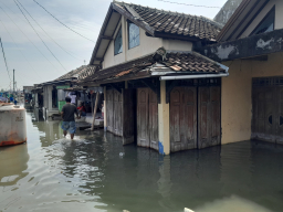 Keterangan: Salah seorang warga Kelurahan Karangsari RA (inisial) saat memantau rumahnya yang terendam banjir rob. (dok/Jateng Memanggil)