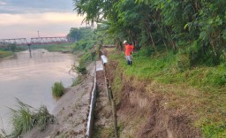 Tertahan Trucuk Bambu, Tanggul Kali Bodri Tak Jebol!, Warga Kini Bersiap Hadapi Musim Hujan